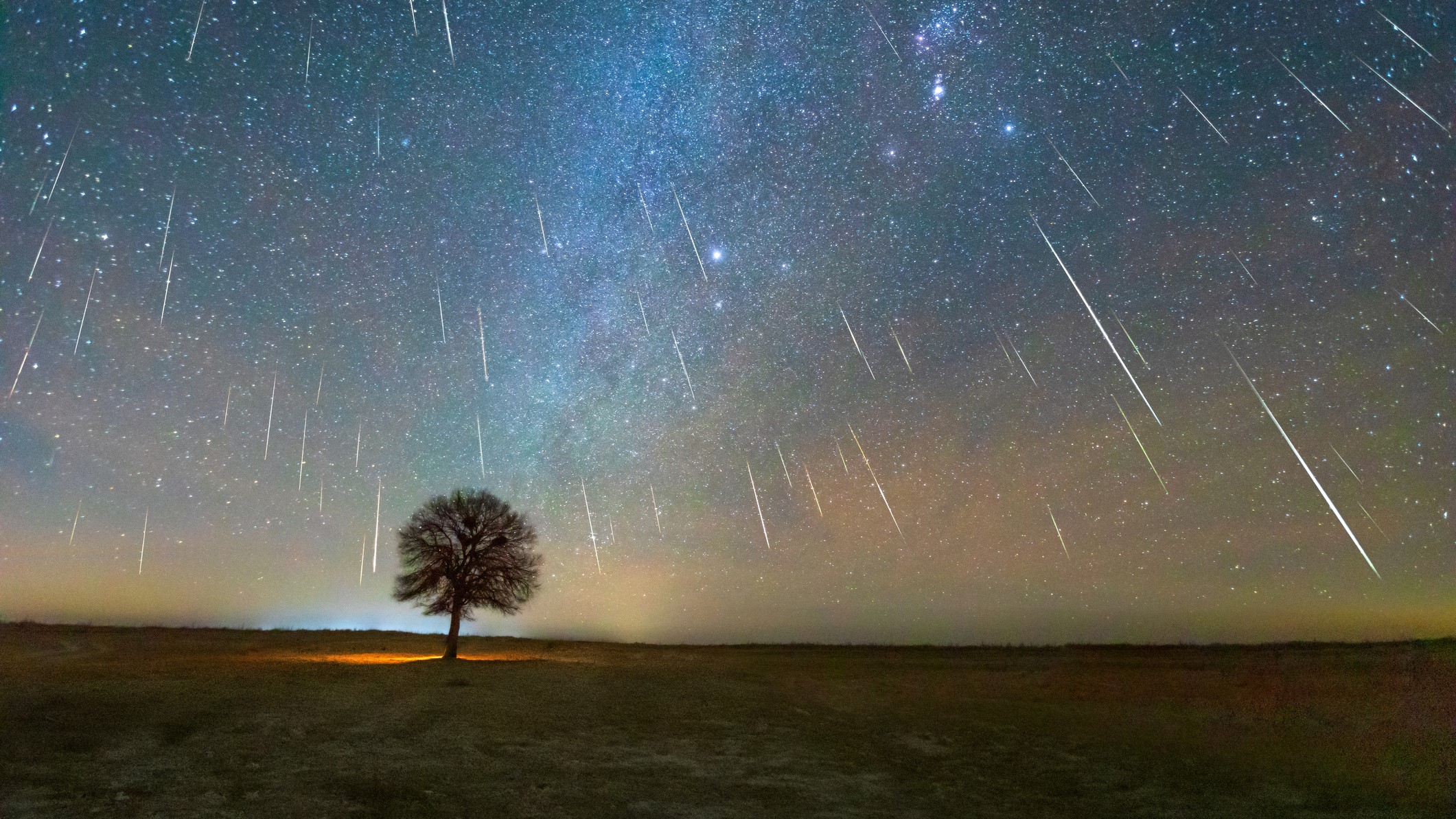 meteors streak down through the star studded sky above a lone tree silhouetted against the starry sky.