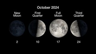 phases of the moon for october 2024