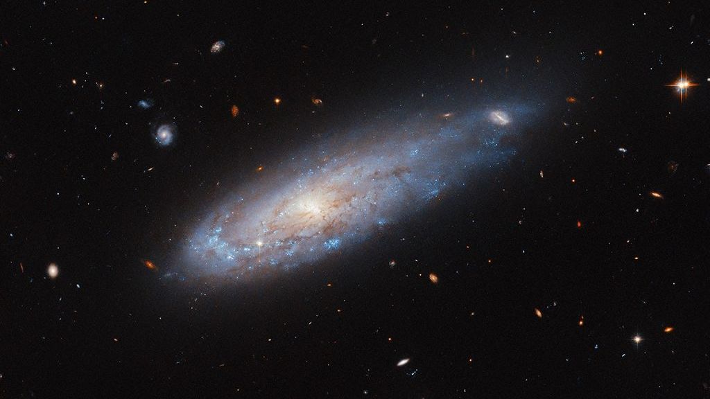 Distorted galaxy whizzes by way of crowded cluster in new Hubble Telescope image