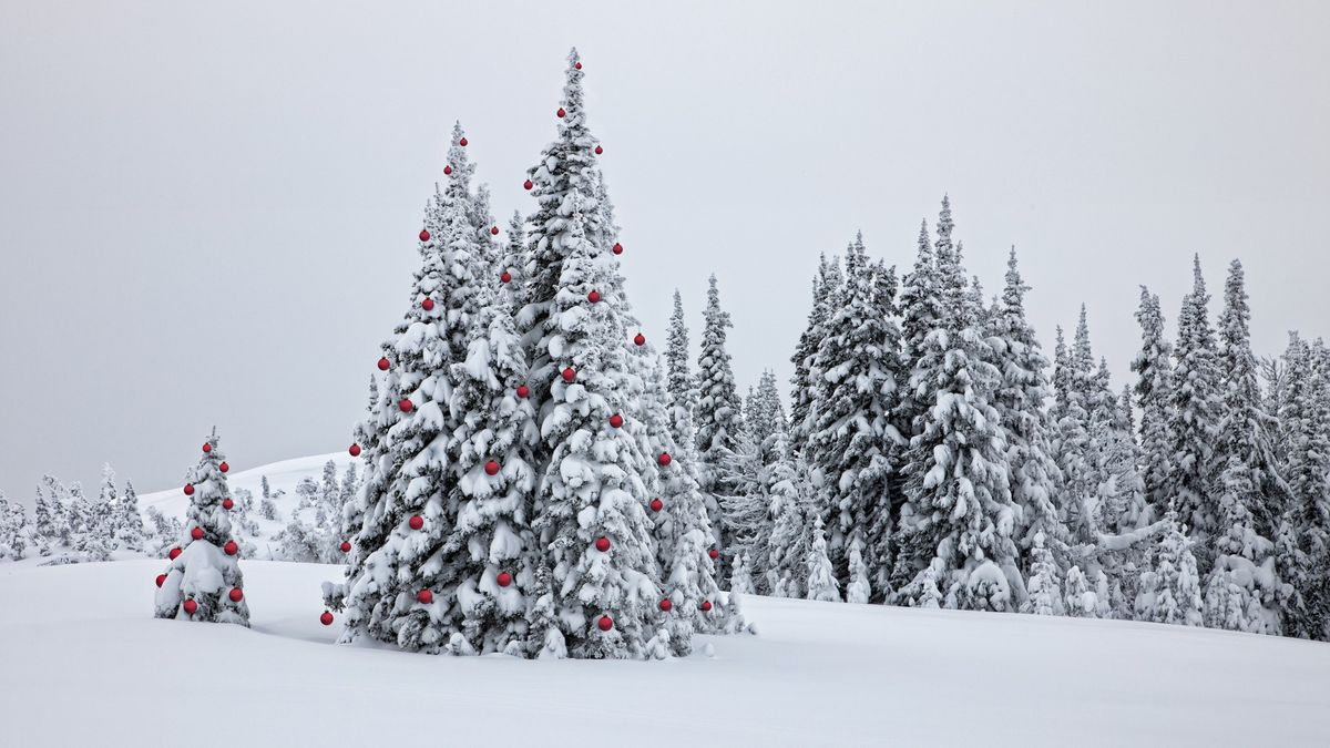 Dreaming of a white Christmas? Snow might be getting into these US states in step with NOAA native climate info